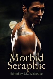 Morbid Seraphic book cover - anthology, short stories