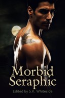 Morbid Seraphic book cover - anthology
